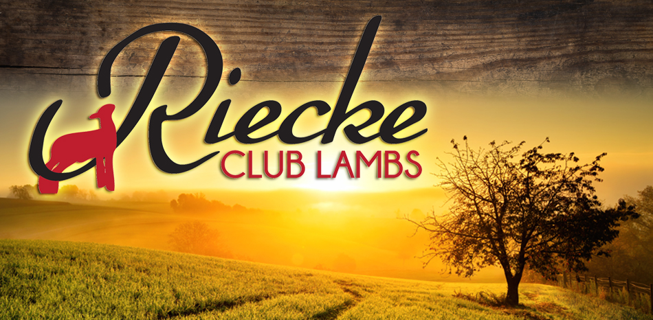 Riecke Club Lambs