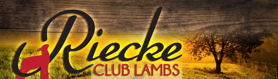 Riecke Club Lambs