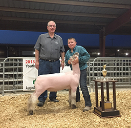 Riecke Club Lambs Winners