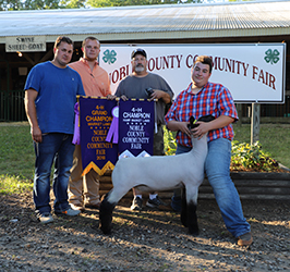 Riecke Club Lambs Winners