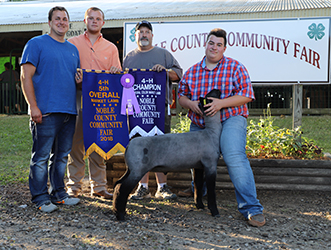 Riecke Club Lambs Winners