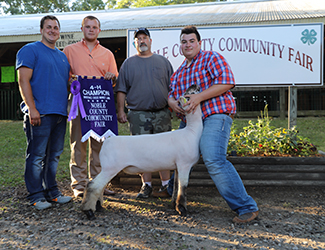 Riecke Club Lambs Winners