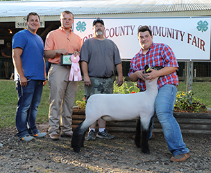 Riecke Club Lambs Winners