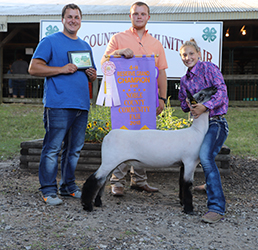 Riecke Club Lambs Winners