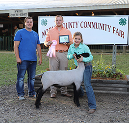 Riecke Club Lambs Winners