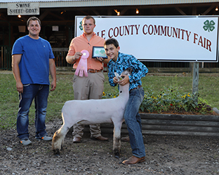 Riecke Club Lambs Winners