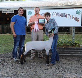 Riecke Club Lambs Winners