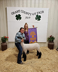Riecke Club Lambs Winners
