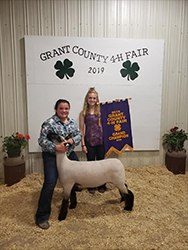 Riecke Club Lambs Winners