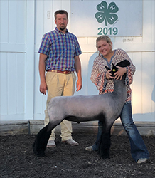 Riecke Club Lambs Winners