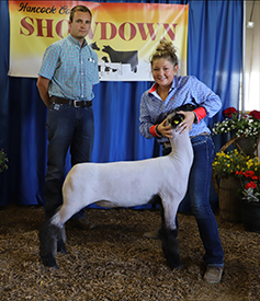 Riecke Club Lambs Winners