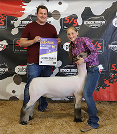 Riecke Club Lambs Winners