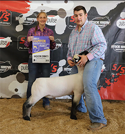 Riecke Club Lambs Winners