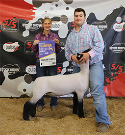 Riecke Club Lambs Winners