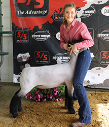Riecke Club Lambs Winners