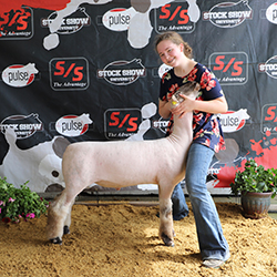 Riecke CLub Lambs Winners