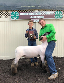 Riecke Club Lambs Winners