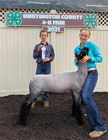 Riecke Club Lambs Winners