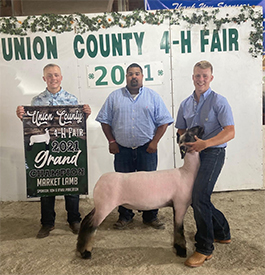 Riecke Club Lambs Winners
