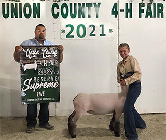 Riecke Club Lambs Winners