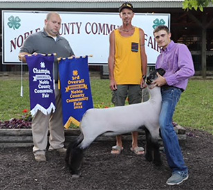 Grand Breeding Ewe Union County