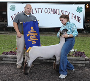 Grand Breeding Ewe Union County