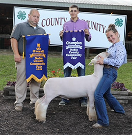 Grand Champion EweChristian County