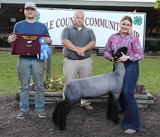 Grand Champion EweChristian County