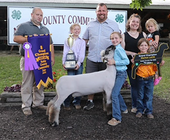 Grand Champion EweChristian County
