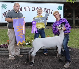 Grand Breeding Ewe Union County