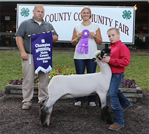 Grand Champion EweChristian County