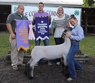 Grand Champion EweChristian County