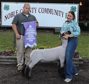Grand Champion EweChristian County