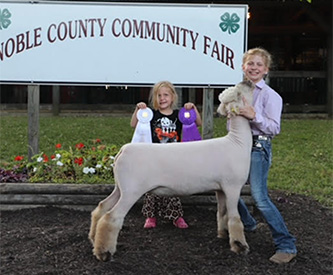 Grand Breeding Ewe Union County