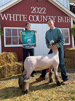 Champion Shrop White County