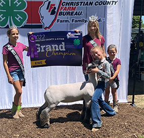 Grand Champion EweChristian County