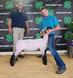Riecke Club Lambs Winners