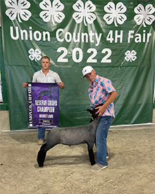 Reserve Market Lamb Union County 4-H Fair