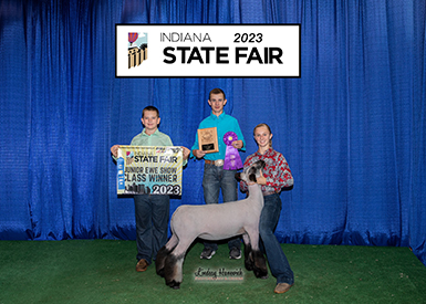 Riecke Club Lambs Winners