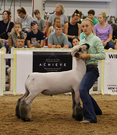 Riecke Club Lambs Winners