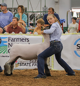 Riecke Club Lambs Winners