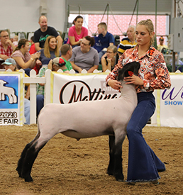 Riecke Club Lambs Winners