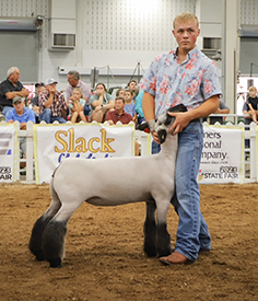Riecke Club Lambs Winners