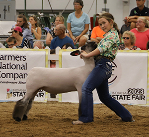 Riecke Club Lambs Winners
