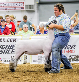Riecke Club Lambs Winners