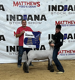 Riecke Club Lambs Winners