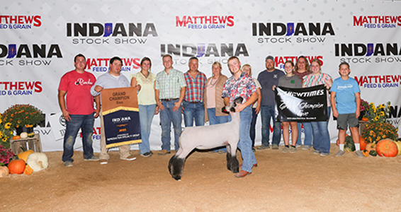 Riecke Club Lambs Winners