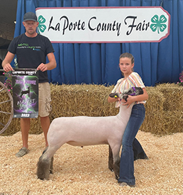 Riecke Club Lambs Winners