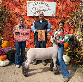 Riecke Club Lambs Winners