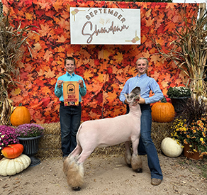 Riecke Club Lambs Winners